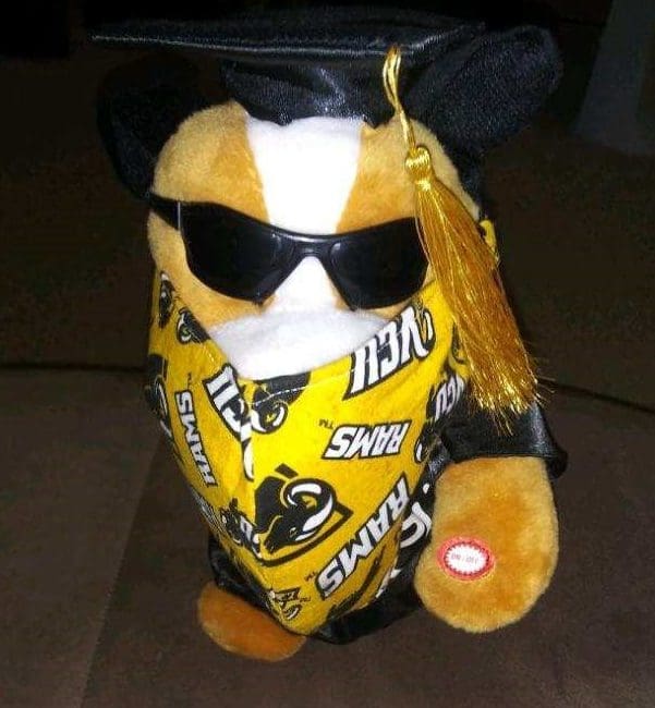 Photograph of a gift of a plush toy